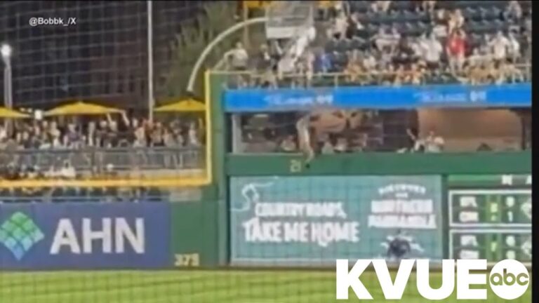 Fan falls from stands during Pittsburgh Pirates baseball game