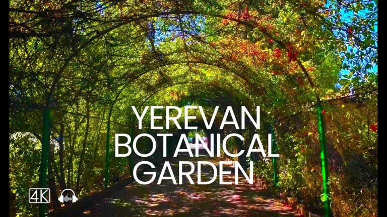 Walking in Yerevan Botanical Garden, Armenia, August 15, 2023, 4K 60fps Walking in Yerevan Botanical Garden, Armenia, August 15, 2023, 4K 60fps