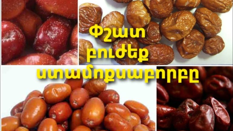 Փշատը ինչու՞ է օգտակար ստամոքսաբորբի դեպքում Փշատը ինչու՞ է օգտակար ստամոքսաբորբի դեպքում