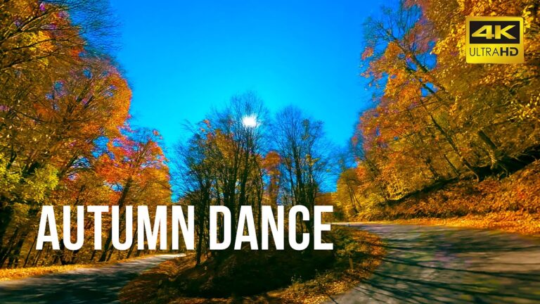 Autumn Dance, A Beauty View of Autumn, Dilijan National Park, Armenia. 4K 60fps