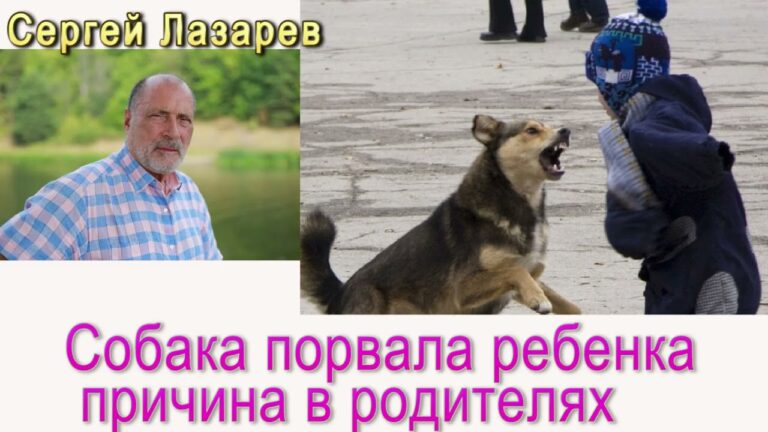 Сергей Николаевич Лазарев Собака порвала ребенка причина в высокой гордыне родителей