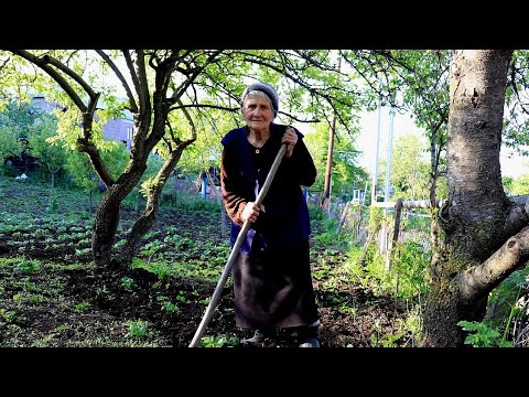 Մի Կյանքի Պատմություն История жизни моей бабушки Шамшадин Շամշադինի Համը Մի Կյանքի Պատմություն История жизни моей бабушки Шамшадин Շամշադինի Համը