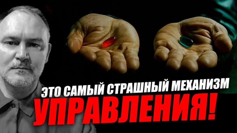 Эта ложная концепция живёт во всех людях! Даниил Сачков
