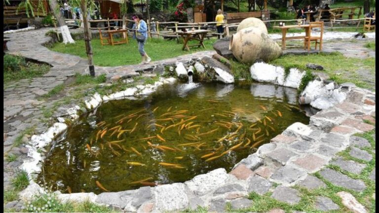 Կյանքի համը – ՉԵՐՔԵԶԻ ՁՈՐ ռեստորան / The taste of life – CHERKEZI DZOR restaurant