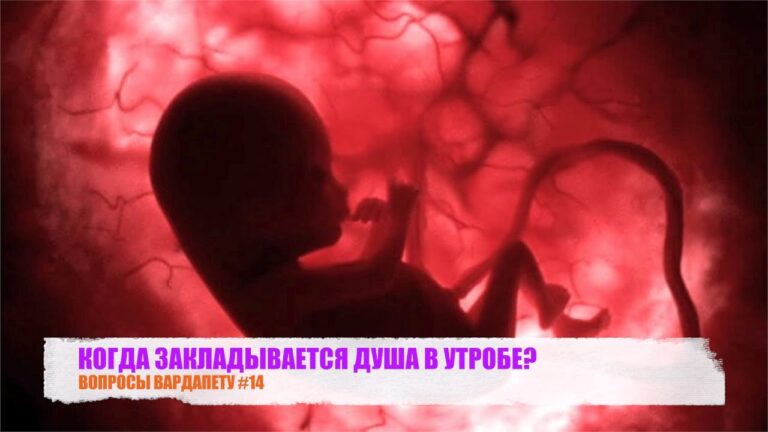 ВОПРОСЫ ВАРДАПЕТУ #14 КОГДА ЗАКЛАДЫВАЕТСЯ ДУША В УТРОБЕ?