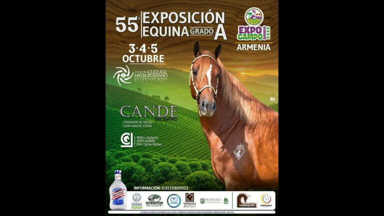 55ª EXPOSICION EQUINA ARMENIA GRADO A EXPOCAMPO QUINDÍO 2025 -PASO FINO COLOMBIANO /TROCHA Y GALOPE
