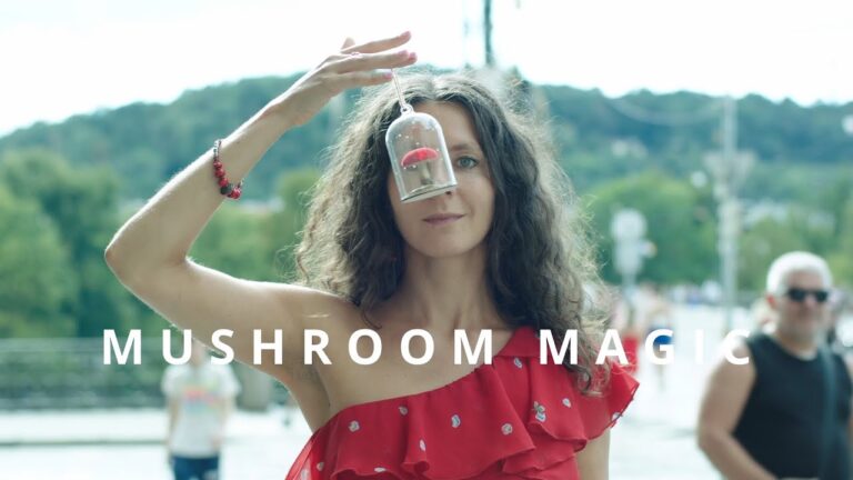 Trailer: “Mushroom Magic” film