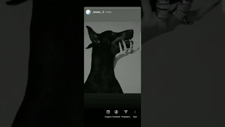 Ինչպե՞ս Instagram-ի story-ները պահել highlights-ում