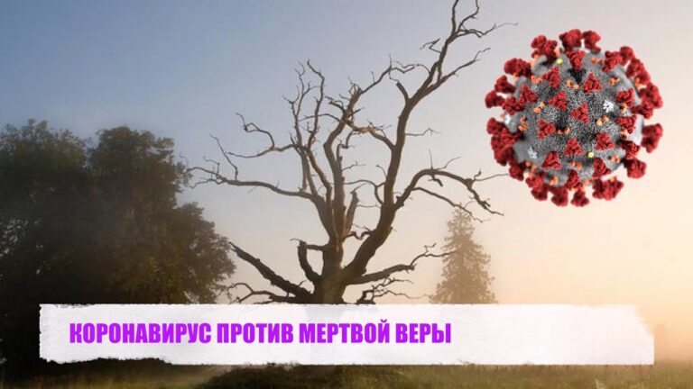 КОРОНАВИРУС ПРОТИВ МЕРТВОЙ ВЕРЫ