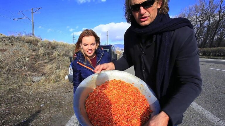 Armenian Sea Buckthorns | Lake Sevan | HD