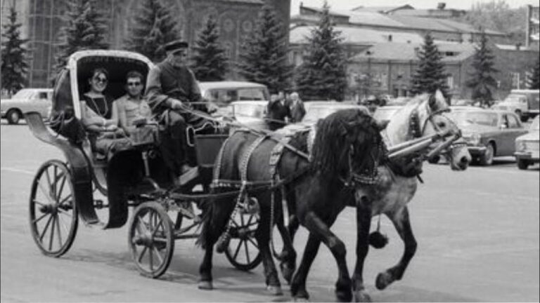 Թաքնված Հայաստան – Գյումրվա ֆայթոն / Hidden Armenia – Gyumri Phaeton Թաքնված Հայաստան – Գյումրվա ֆայթոն / Hidden Armenia – Gyumri Phaeton