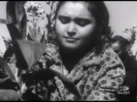 ՉԻՆԱՐԻԻ ԱՇՈՒՆԸ, 1975 ՉԻՆԱՐԻԻ ԱՇՈՒՆԸ, 1975