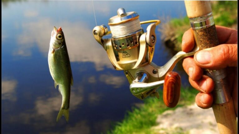 Ձկնորսություն և որսորդություն / Fishing and hunting – Ձկնորսական մրցույթ ձկնորսական ակումբում Ձկնորսություն և որսորդություն / Fishing and hunting – Ձկնորսական մրցույթ ձկնորսական ակումբում