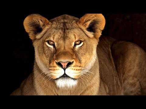 ОБСУДИМ ПАРУ ОСТРЫХ ТЕМ… ОБСУДИМ ПАРУ ОСТРЫХ ТЕМ…