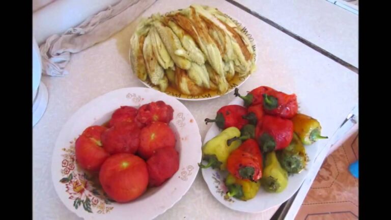 A Visit to the Amazing World of Karine’s Yard