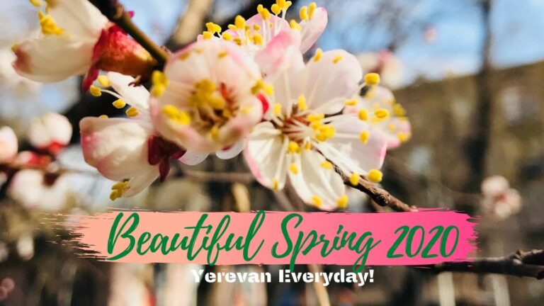 YEREVAN EVERYDAY: Springtime 2020 | Wonderful Nature