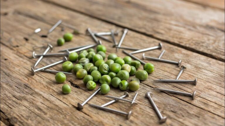 УВИДЕТЬ ВОЗМОЖНОСТИ. ИНГА ХОСРОЕВА. ВЕДЬМИНА ИЗБА.