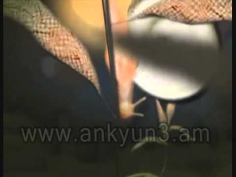 Լինում է, չի լինում Լինում է, չի լինում