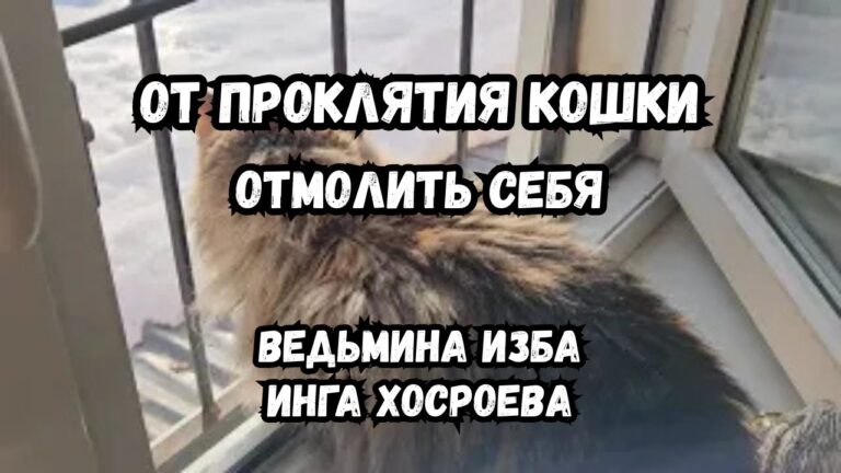 ОТ ПРОКЛЯТИЯ КОШКИ… ОТМОЛИТЬ СЕБЯ… ДЛЯ ВСЕХ… ИНГА ХОСРОЕВА ВЕДЬМИНА ИЗБА ОТ ПРОКЛЯТИЯ КОШКИ… ОТМОЛИТЬ СЕБЯ… ДЛЯ ВСЕХ… ИНГА ХОСРОЕВА ВЕДЬМИНА ИЗБА