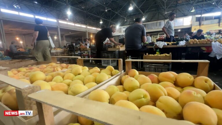 Բերքը մնացել է ծառերին, ֆուռերը չեն տանում. ծիրանի գինը իջել է 100 դրամ