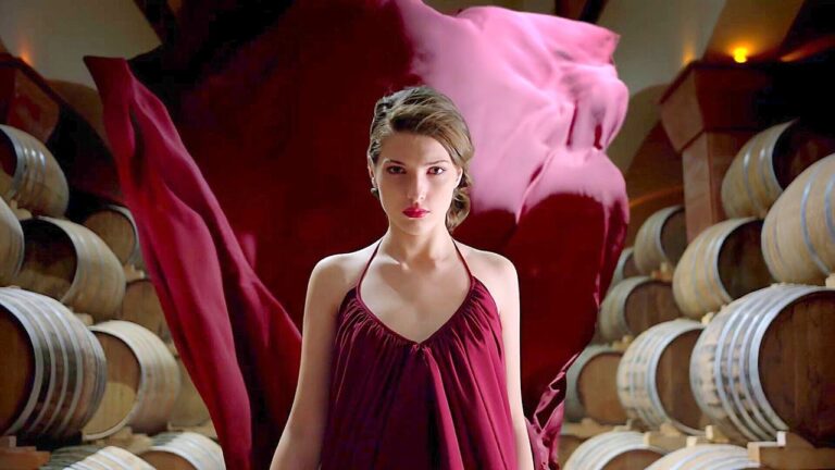 Top Wines You Must Try In Armenia | Takar Wine | HD Top Wines You Must Try In Armenia | Takar Wine | HD