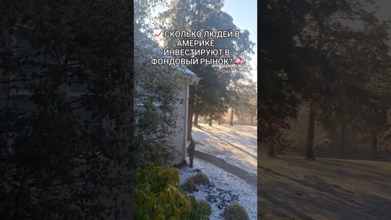 📈 Количество инвестирующих жителей США ДОСТИГЛО 20-ЛЕТНЕГО МАКСИМУМА! 🚀 #жизньвсша  #финансывсша