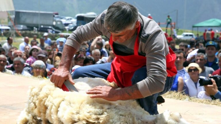 Armenia | Khot Village Sheep Shearing Festival | HD Armenia | Khot Village Sheep Shearing Festival | HD