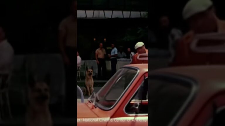 Ֆրունզիկը վիճում է🎭🎬👑💯 #ֆիլմեր #film #հայֆիլմ #movie #ֆրունզիկ #cinema #shorts #kino #armenia