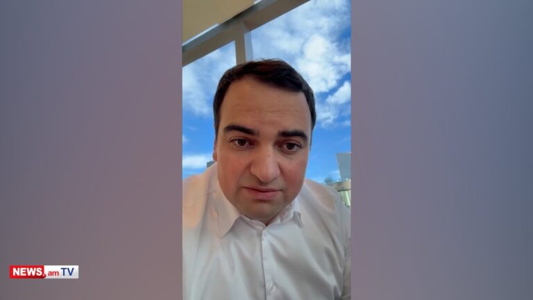 Երկրում պետք է կառուցվեն գործարաններ, հետո դպրոցներ. Նարեկ Կարապետյանը Նյու Յորքում է