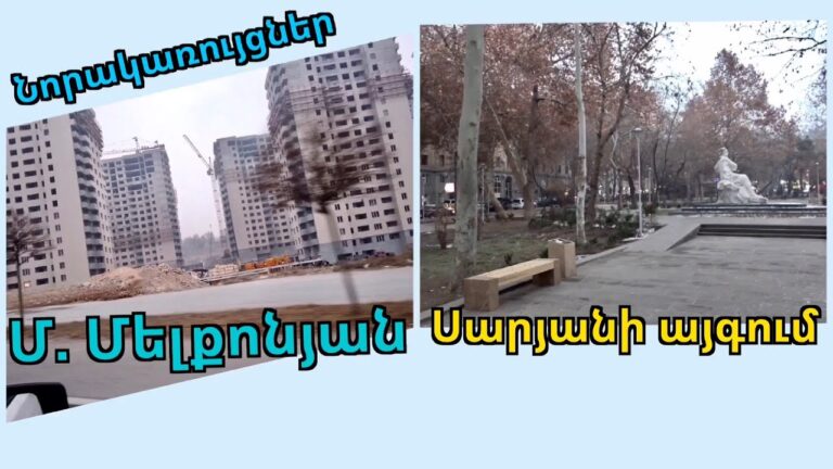 10.01.22, Mo, Masivic Monte Melkonyan poghota. Saryani aygi. Yerevan.