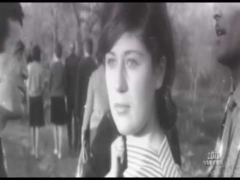 ԳԱՌՆԻ 1966 ԳԱՌՆԻ 1966