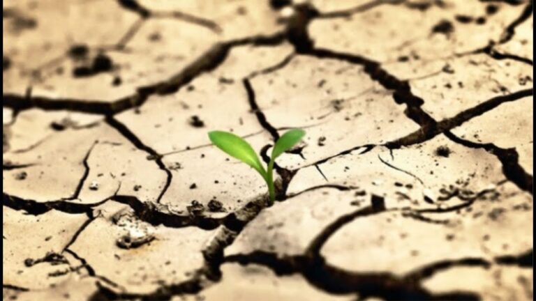 Թաքնված Հայաստան – Ոսկեվազի եկեղեցիներ / Hidden Armenia – Churches of Voskevaz Թաքնված Հայաստան – Ոսկեվազի եկեղեցիներ / Hidden Armenia – Churches of Voskevaz