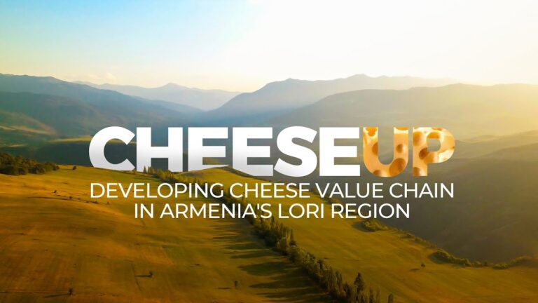 CheeseUp – Developing cheese value chain in Armenia’s Lori region CheeseUp – Developing cheese value chain in Armenia’s Lori region