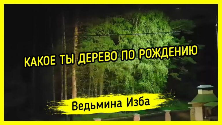 КАКОЕ ТЫ ДЕРЕВО ПО РОЖДЕНИЮ. ВЕДЬМИНА ИЗБА ▶️ МАГИЯ КАКОЕ ТЫ ДЕРЕВО ПО РОЖДЕНИЮ. ВЕДЬМИНА ИЗБА ▶️ МАГИЯ