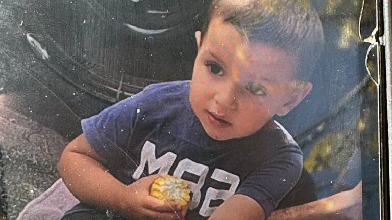 Երեխայի հայրը խեղդամահ անելու ճանապարհով սպանել է 3-ամյա Տիգրանին. ՆԳ նախարար Երեխայի հայրը խեղդամահ անելու ճանապարհով սպանել է 3-ամյա Տիգրանին. ՆԳ նախարար