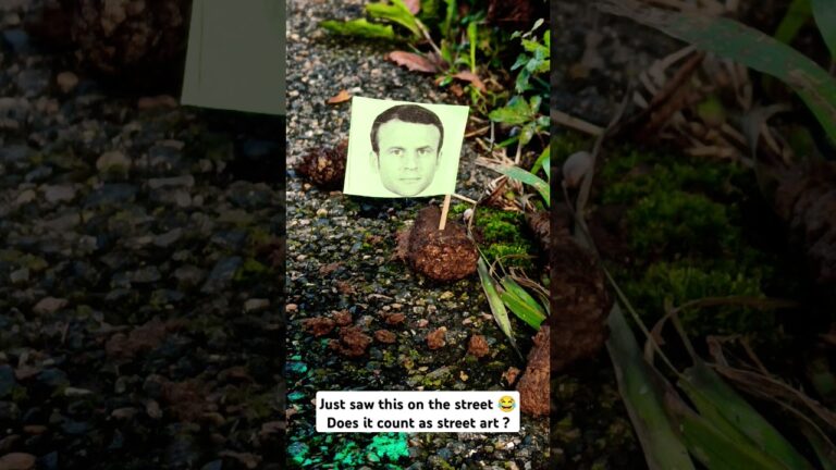 #macron #frenchpolitics #politicalart #art