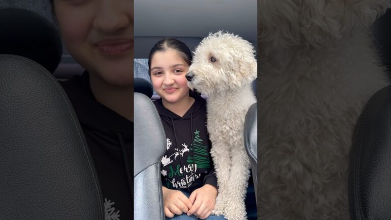 Malika #likahakobyan #ladaniva Malika #likahakobyan #ladaniva