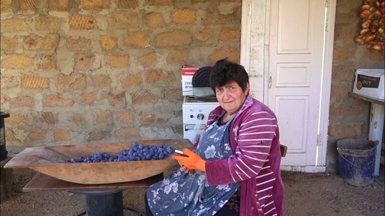 Սալորի Բերք էլ 《ՏՈՒՆ ՏՎԵՑԻՆՔ》Շամշադինի Համը – Шамшадин Սալորի Բերք էլ 《ՏՈՒՆ ՏՎԵՑԻՆՔ》Շամշադինի Համը – Шамшадин