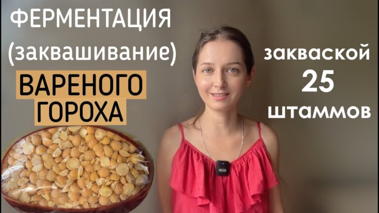 Заквашиваю горох на закваске Пробиотик 25. Результат под микроскопом. Заквашиваю горох на закваске Пробиотик 25. Результат под микроскопом.