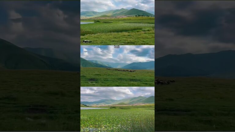 #history #culture #armenia #vivtashiarkacnery #history #culture #armenia #vivtashiarkacnery