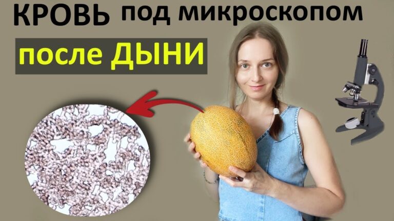 Как употребление дыни влияет на кровь.