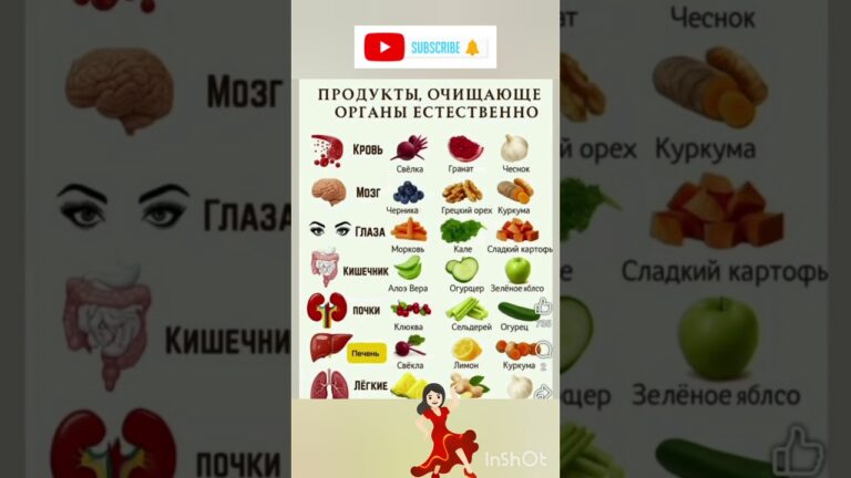 продукты очищающе органы естественно