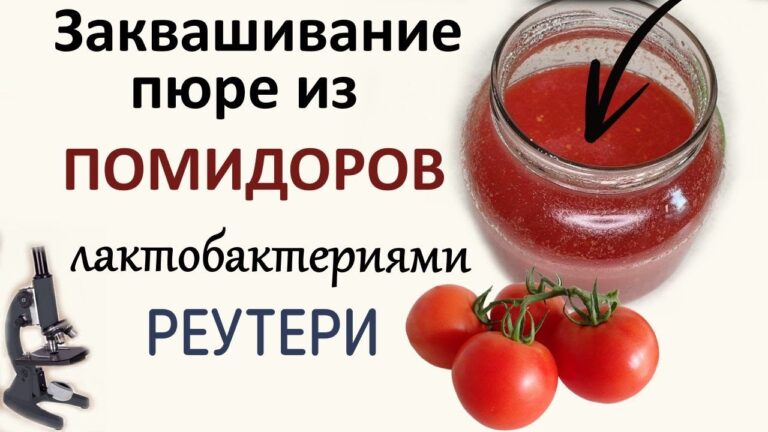 Домашнее томатное пюре заквашиваю с реутери. Без стерилизации.