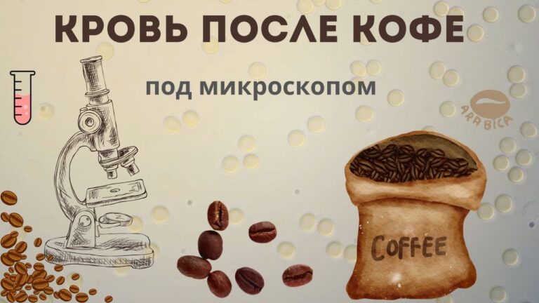 Как употребление кофе повлияет на мою кровь.