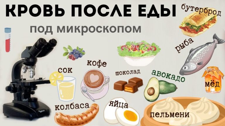 Кровь разных людей после разных продуктов питания.  Сгущение крови – от чего ?