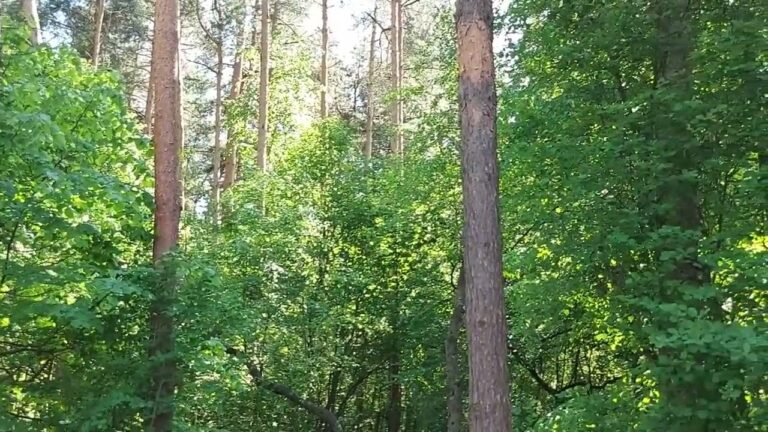 РОД…СЕМЬ ПОКОЛЕНИИ…СЕМЬ НАКАЗАНИИ…И.Т.Д. @Vedminaizba. @Ingavedma .