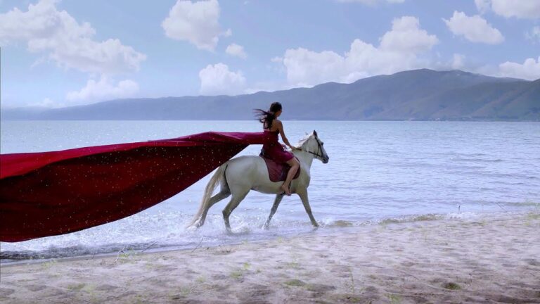 Top Wines You Must Try In Armenia | Armenia Wine Company | HD