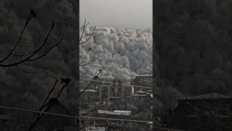 Նույնիսկ ցրտի մեջ գեղեցկություն կա, եթե սիրտդ լի է սիրով։ Շողա՛, ինչպես արևը ամպերի միջից Նույնիսկ ցրտի մեջ գեղեցկություն կա, եթե սիրտդ լի է սիրով։ Շողա՛, ինչպես արևը ամպերի միջից