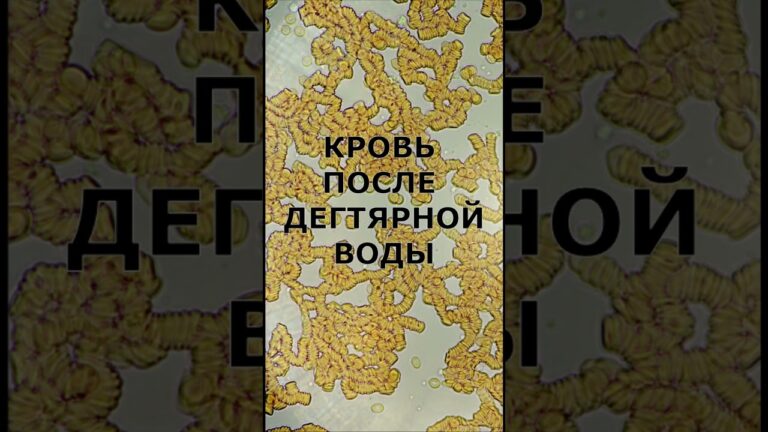 Как дегтярка влияет на кровь.