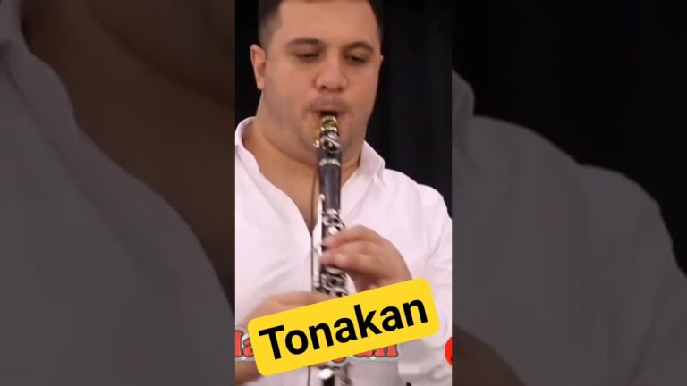 Tonakan – Vardges Hakobyan